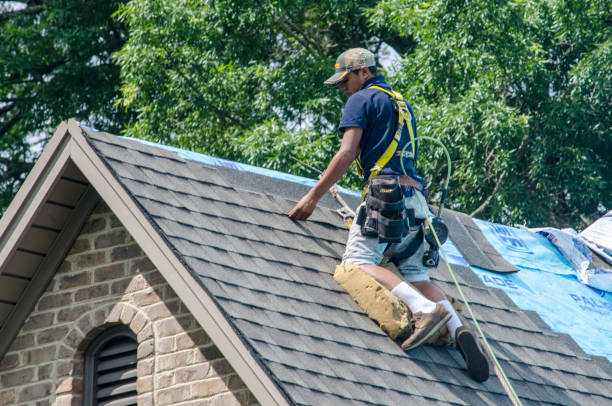 Best Roof Maintenance Services  in Flossmoor, IL